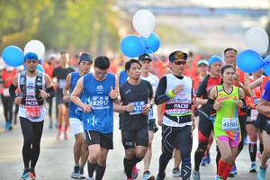 BIB: 26219
                            <button type="button" onclick="openModal(12773716)" class="btn btn-primary btn-sm float-right btn-popup" data-toggle="modal" data-target=".modal-high-quality">
                        <i class="fas fa-shopping-cart"></i> Add to Cart
                    </button>
                                            <button type="button" onclick="isThisMe(12773716, true)" class="btn btn-success btn-sm float-right btn-popup btn-isme hidden" data-toggle="tooltip" data-placement="bottom" title="นี่คือรูปของคุณใช่ไหม คลิกที่นี่เพื่อเอาเข้าอัลบั้ม">
                        <i class="fas fa-plus"></i> Add to album
                    </button>
                    <button type="button" onclick="isThisMe(12773716, false)" class="btn btn-warning btn-sm float-right btn-popup btn-isnotme hidden">
                        <i class="fas fa-ban"></i> Remove from album
                    </button>